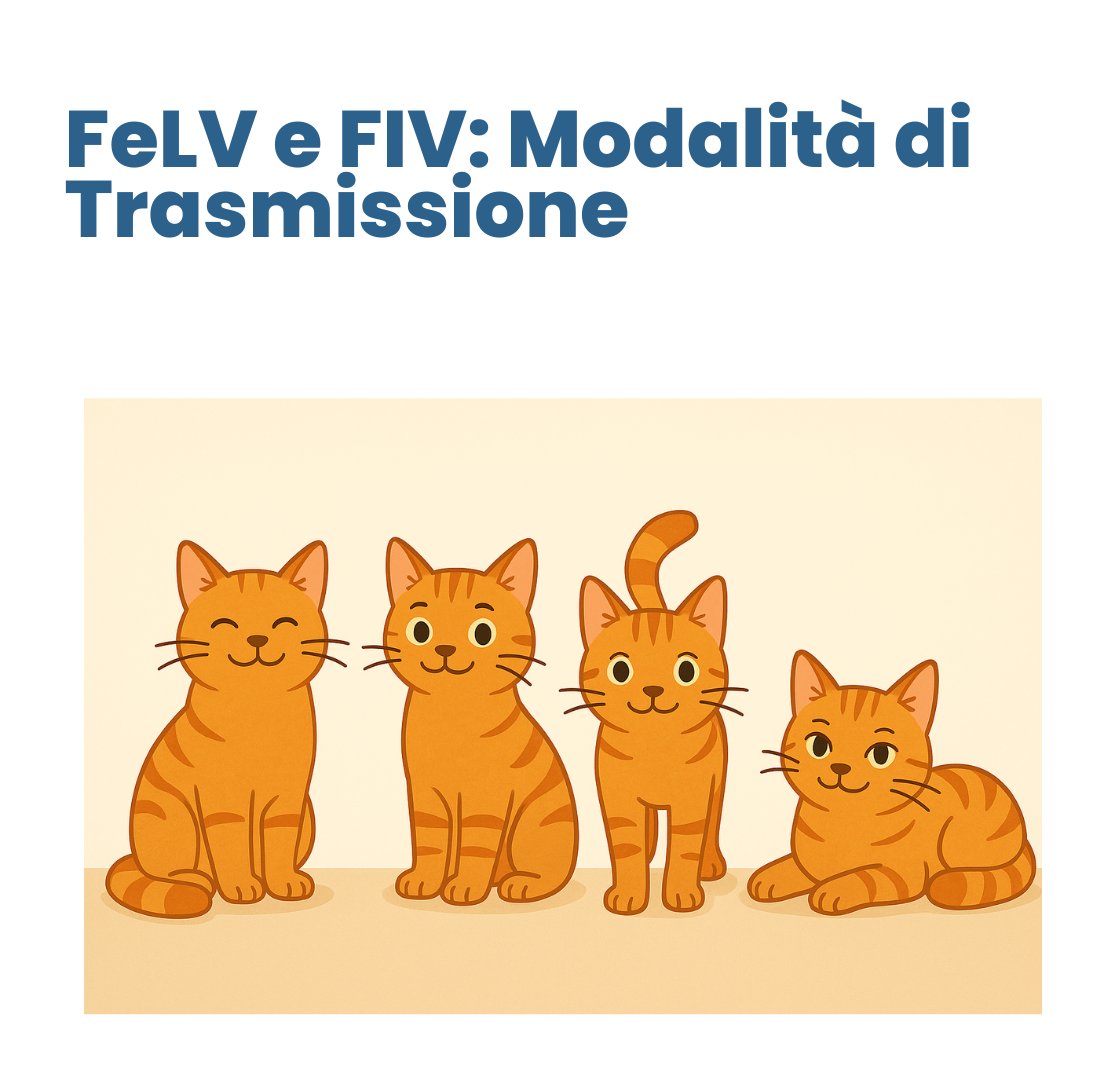 FeLV e FIV: Modalità di Trasmissione