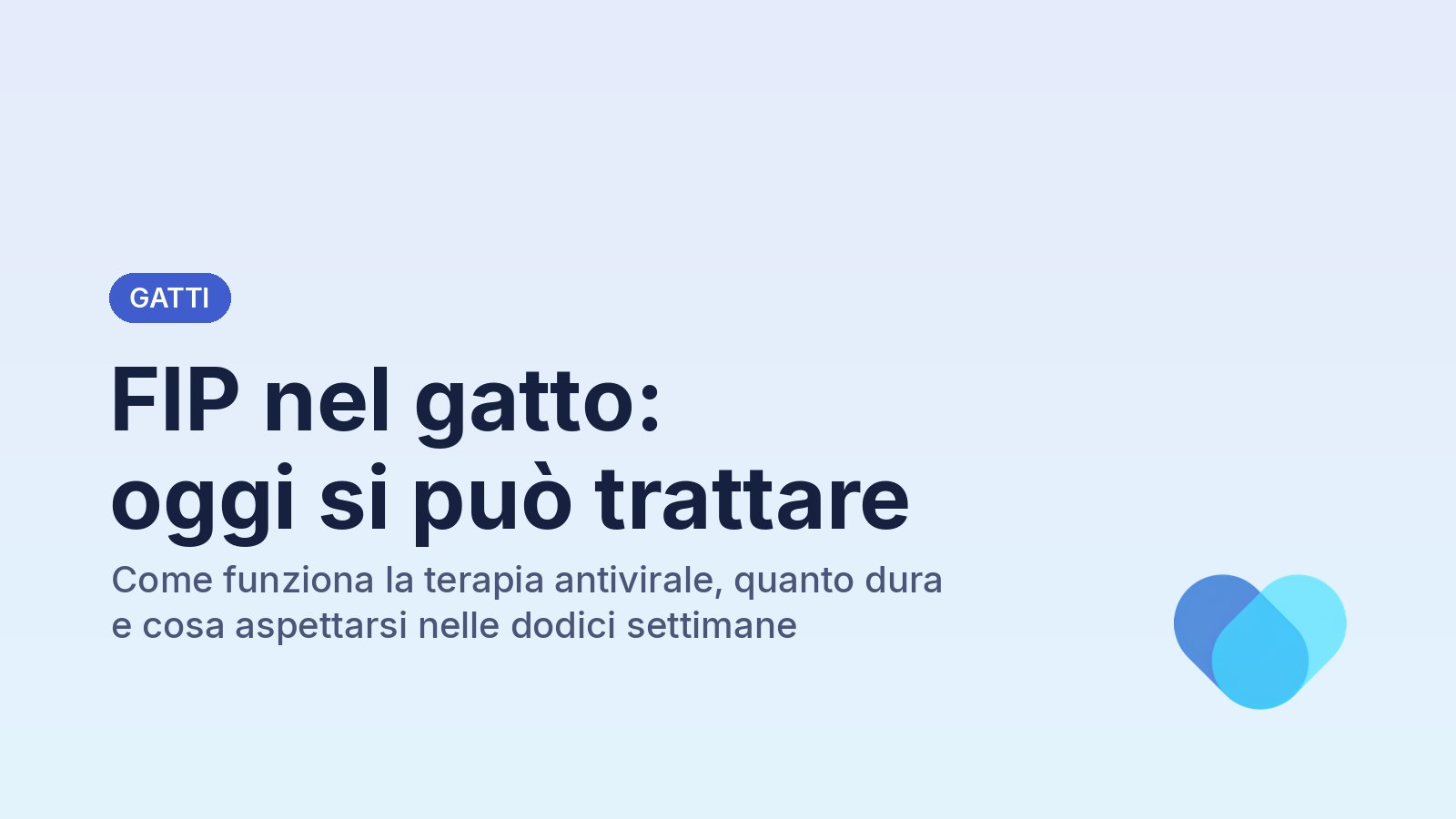 FIP nel gatto: oggi si può trattare. Come funziona la terapia, quanto dura e cosa aspettarsi