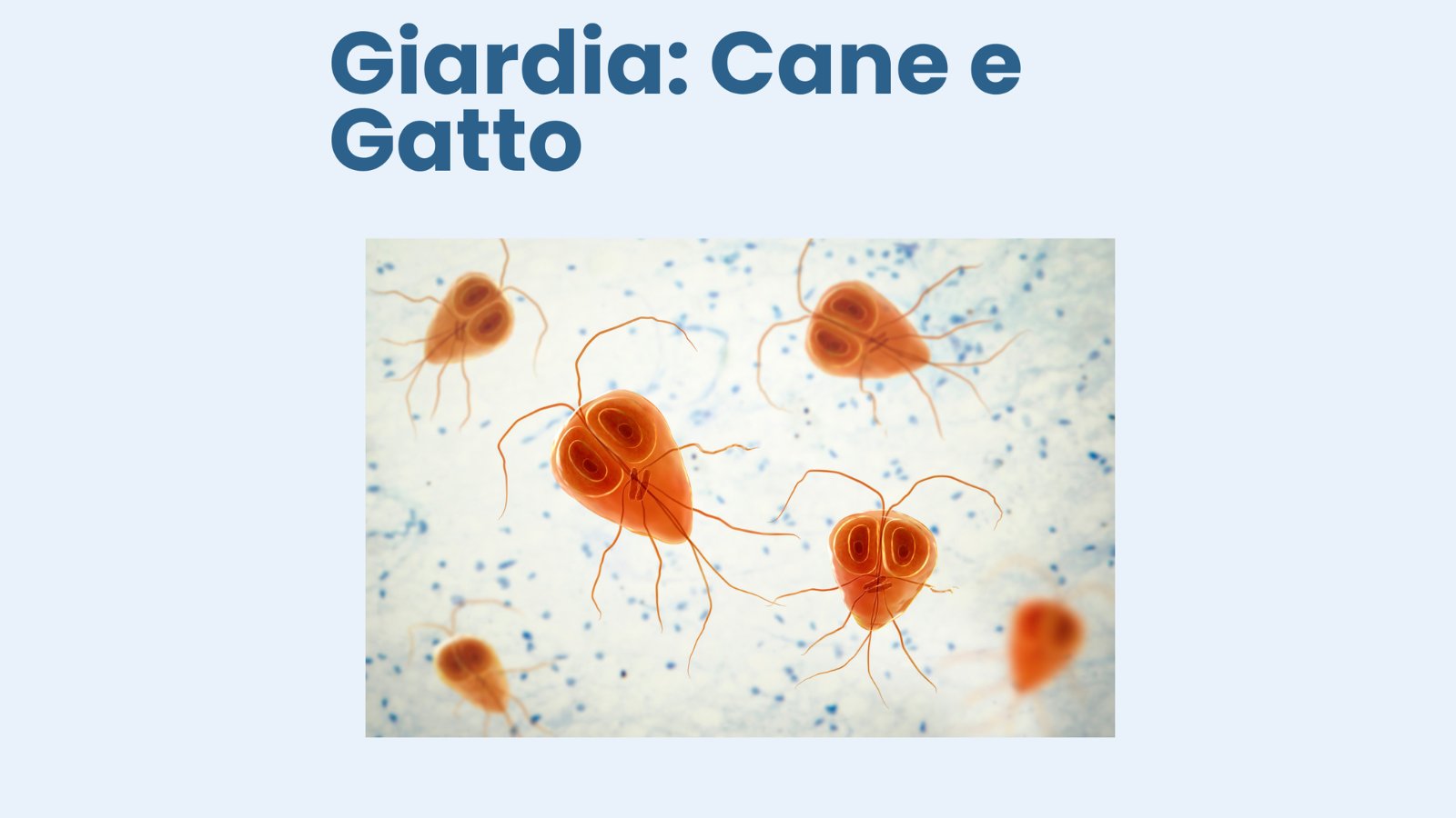 Giardia