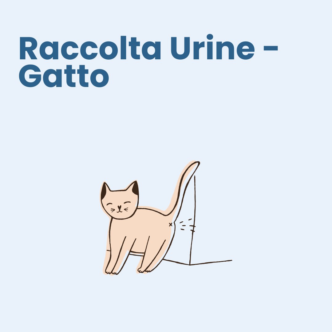 Raccolta Urine