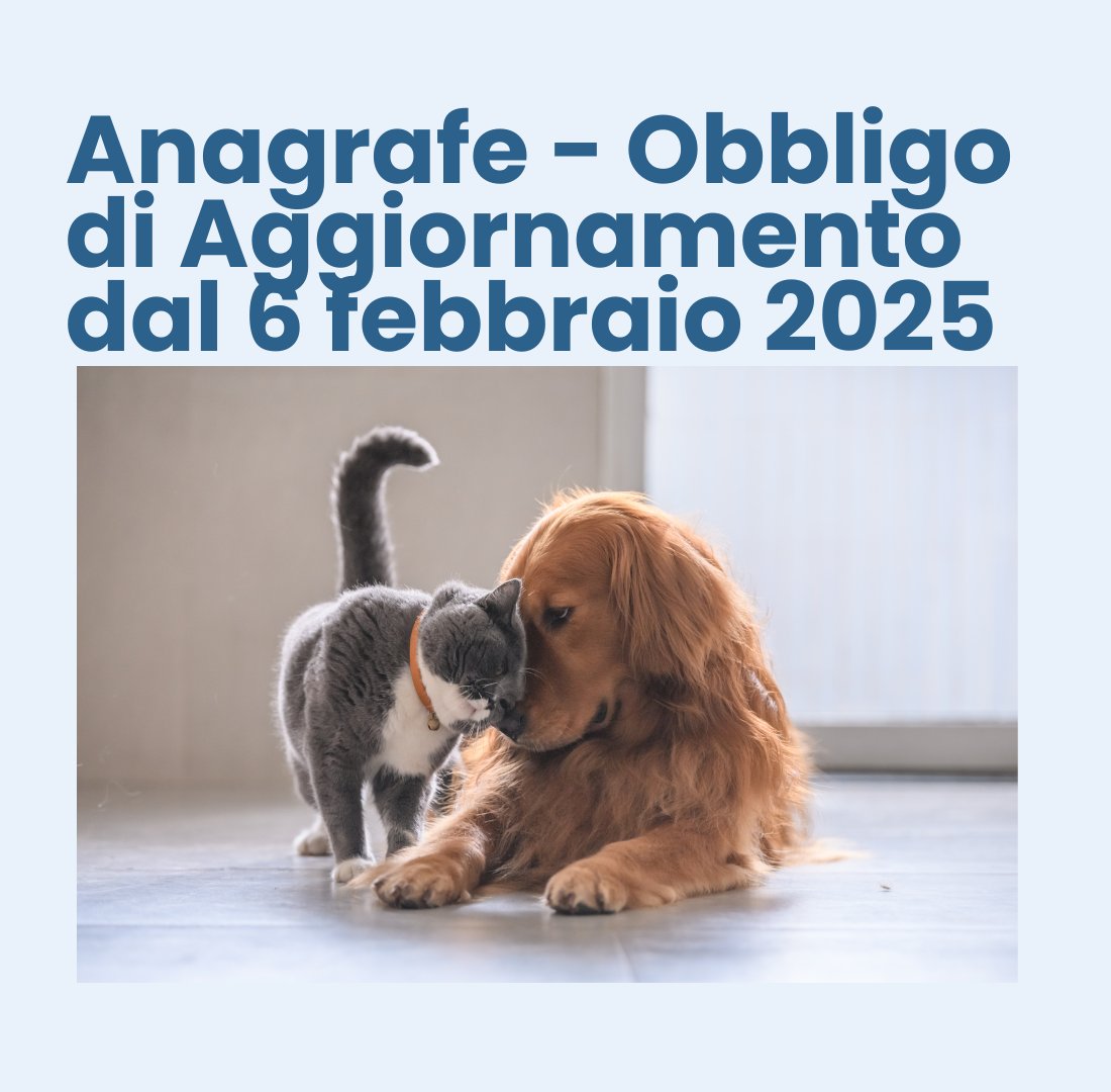 SINAC dal 6 febbraio 2025